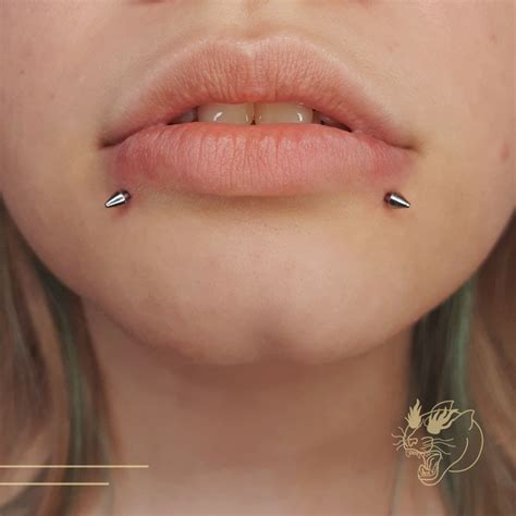 lip piercing snake bites|Snake Bites Piercing: What It Is and How to Care For It